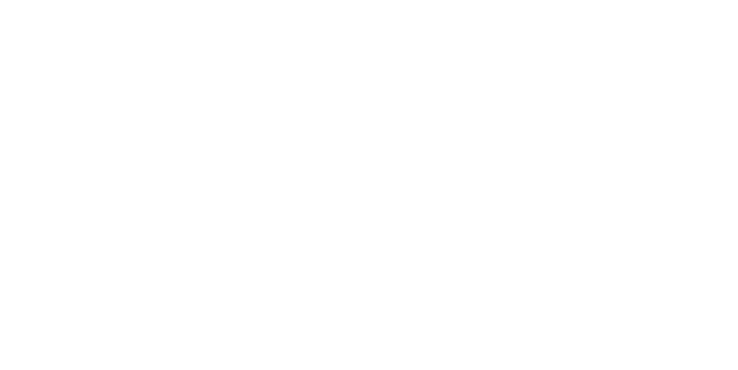 Logo BRIDGEWARETECH White 2553px-1281px
